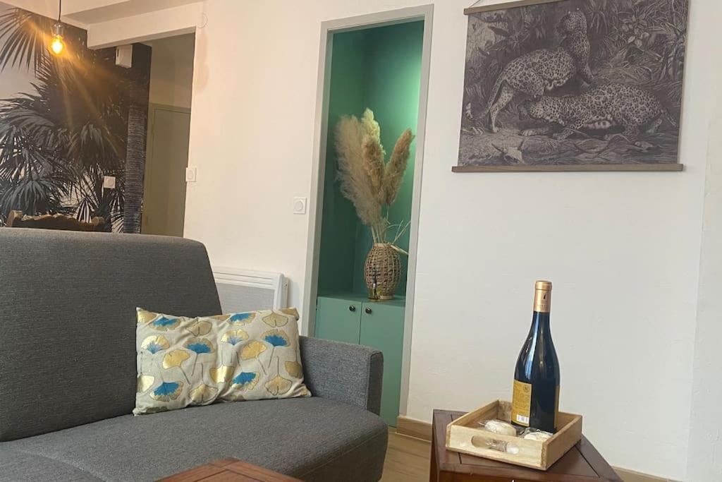 * Logement Haut De Gamme Centre * 페르피냥 외부 사진